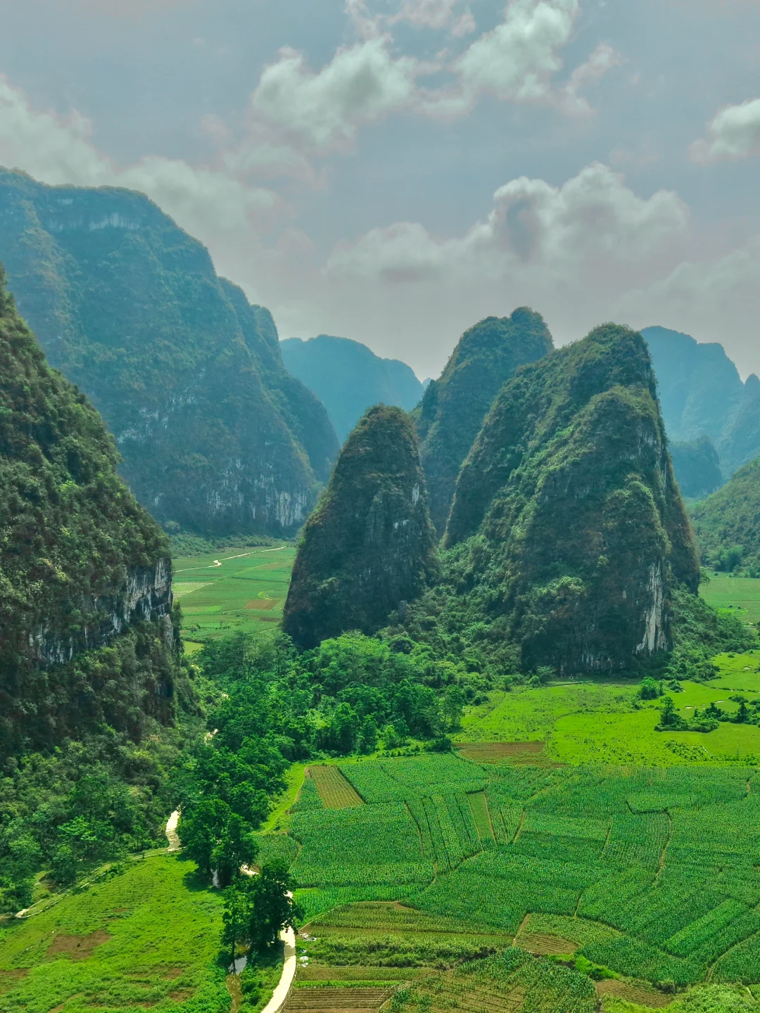 不是国外！中国人自己的侏罗纪原始密林