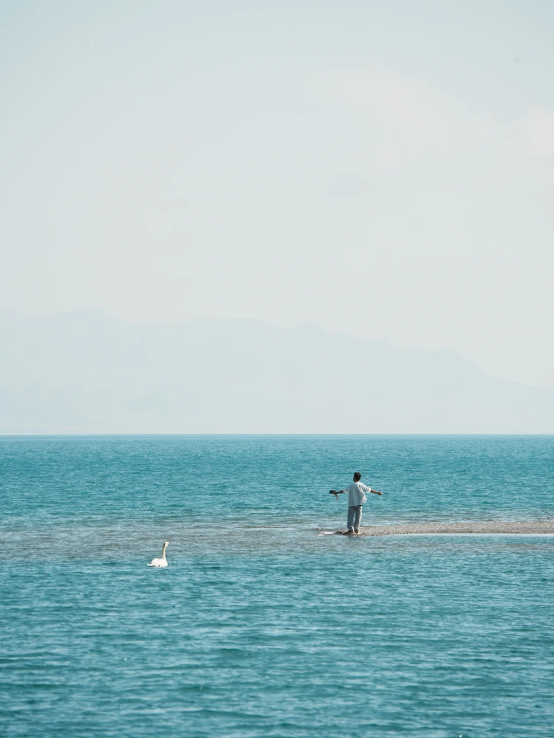 任何人错过夏天🌲的新疆，我都会伤心的