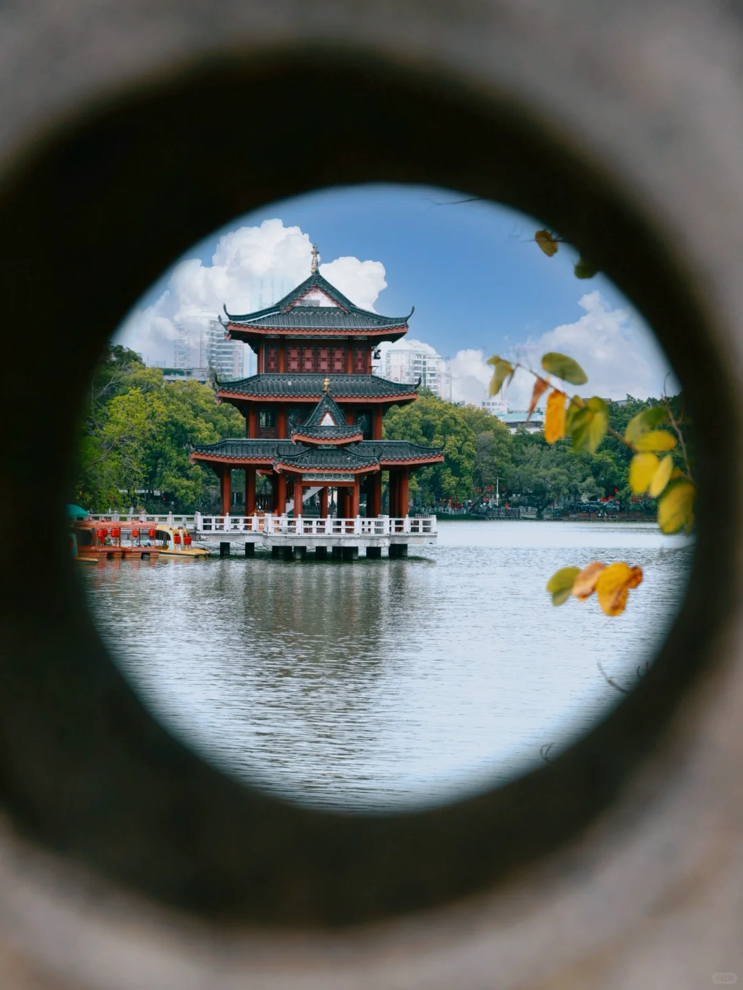 为了这9️⃣张图｜我特地飞了一趟惠州‼️