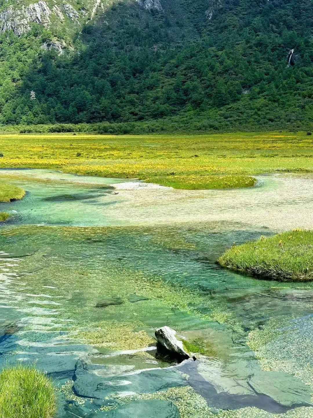 这个夏天，和最爱的人来一次稻城吧