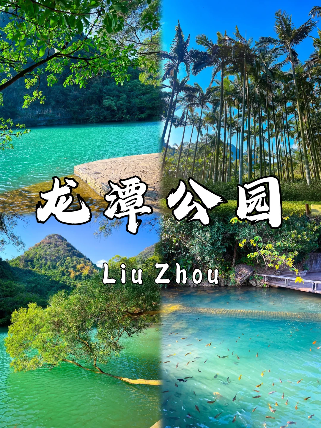 🌉 柳州必打卡9大景点｜2025最新避坑指南