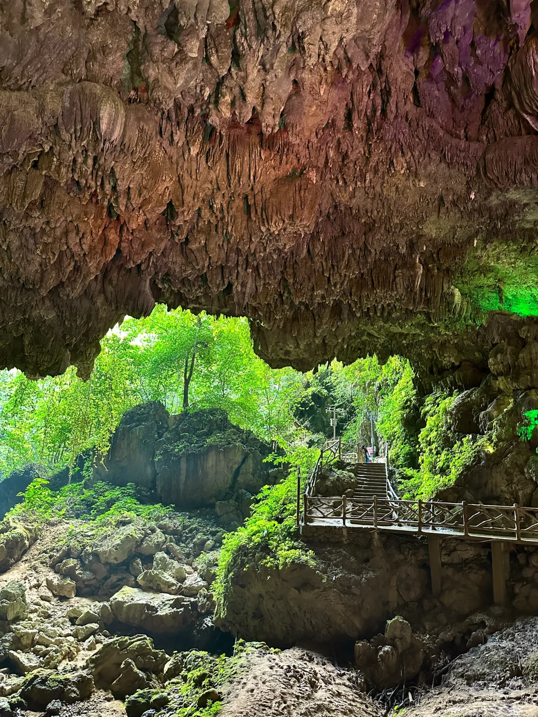 不是国外！中国人自己的侏罗纪原始密林