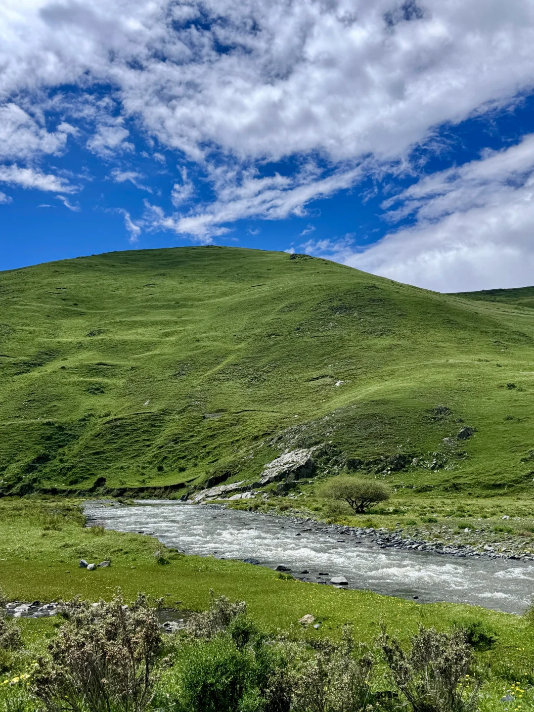 实话难听，但这就是7-8月川西真实现状…