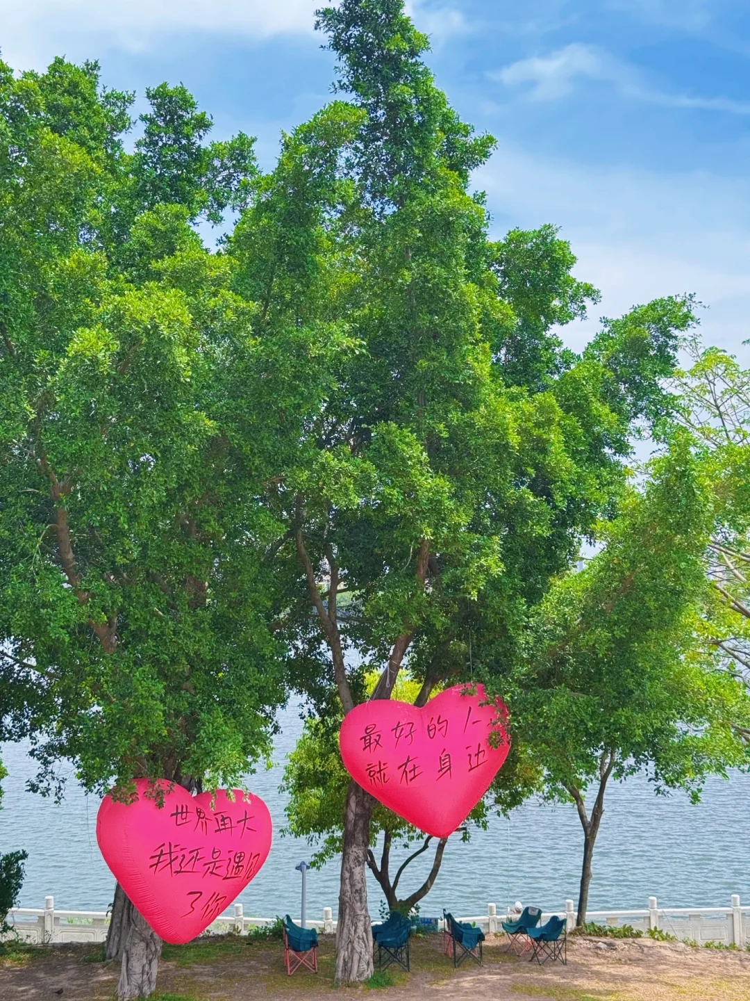 为了这9️⃣张图｜我特地飞了一趟惠州‼️