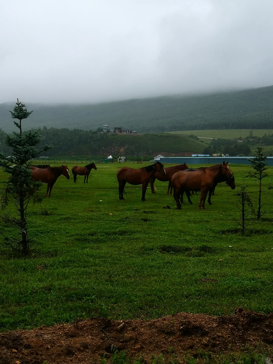 关于旅行的意义，这是我听过蕞好的诠释