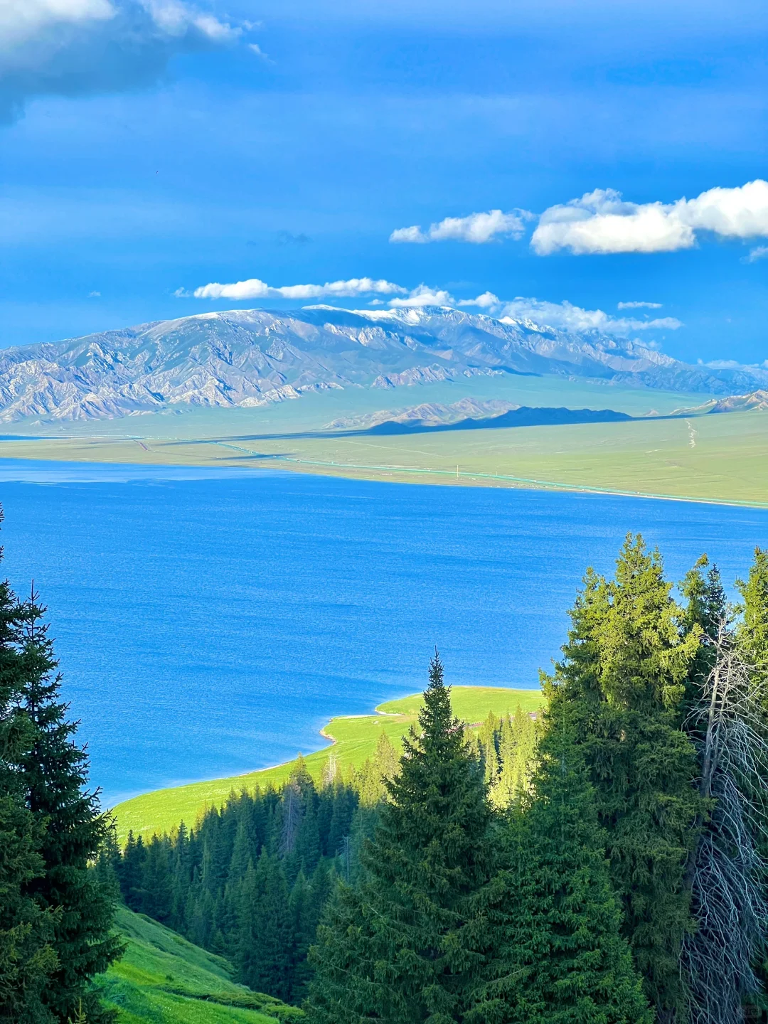 真不输瑞士😭😭初夏的赛里木湖美翻了‼️