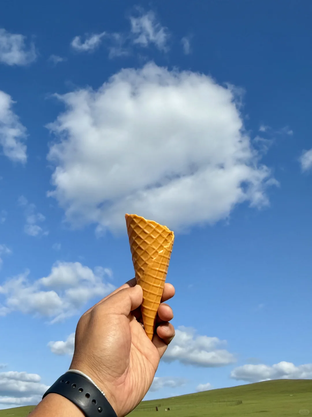 live｜不敢相信草原的尽头是大海！