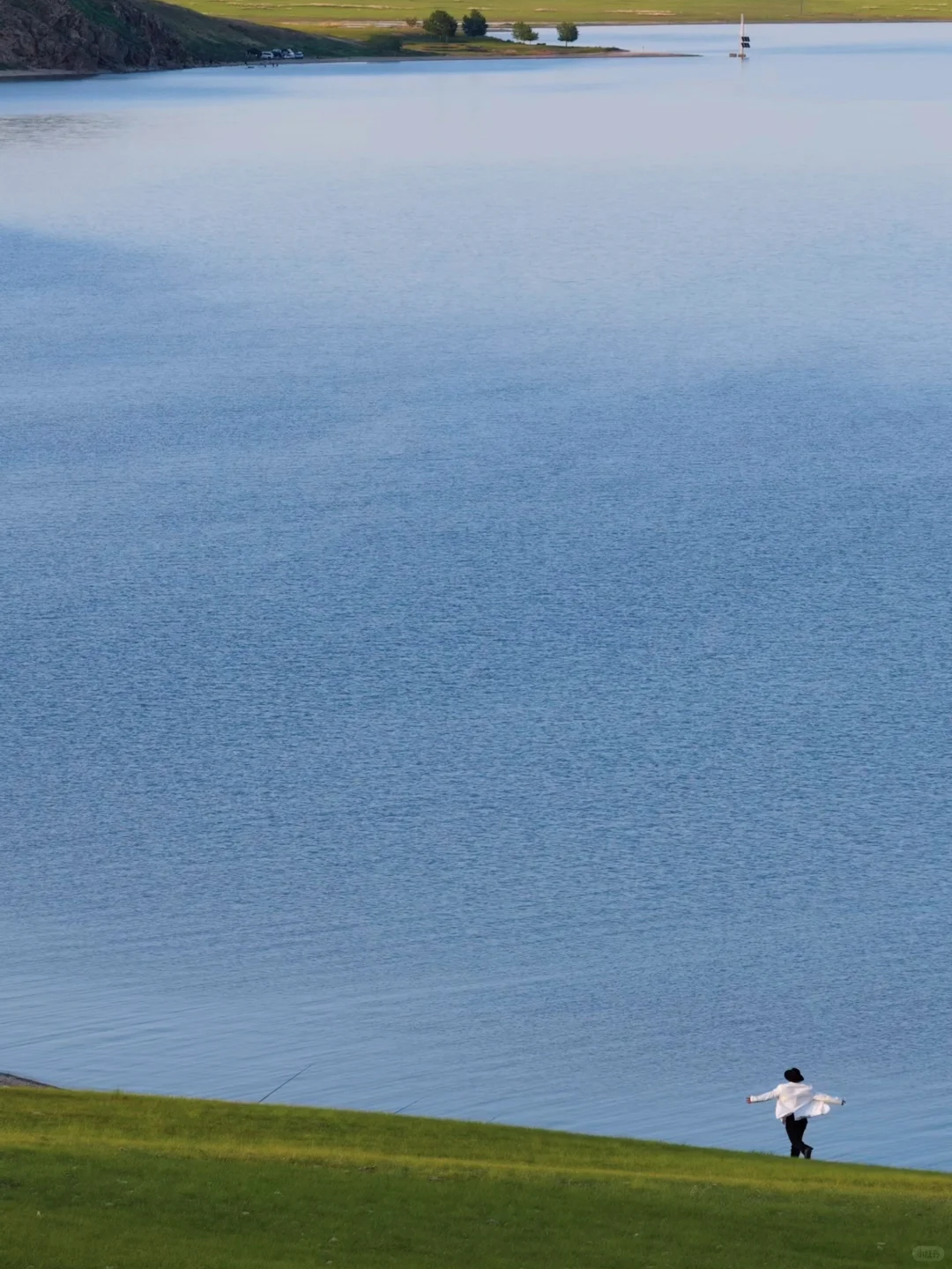 live｜不敢相信草原的尽头是大海！