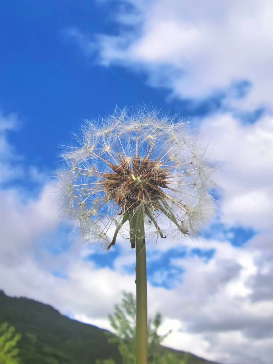 旅游途中的美景