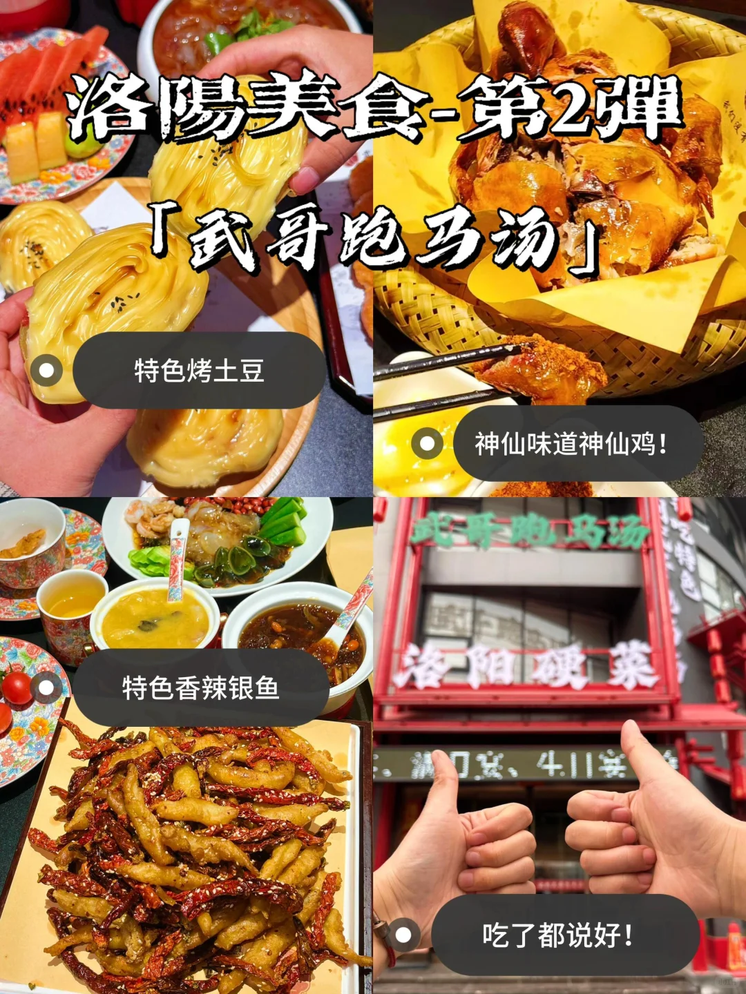 🌟 洛阳必打卡9大景点｜穿越千年古都。