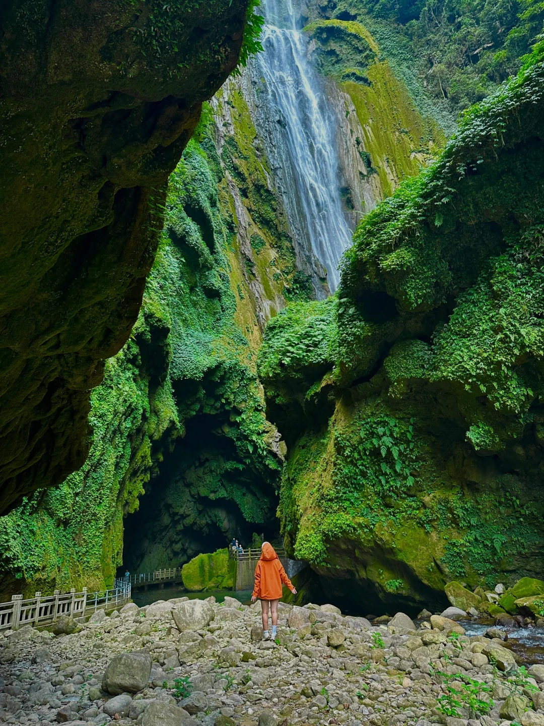 不是国外！中国人自己的侏罗纪原始密林
