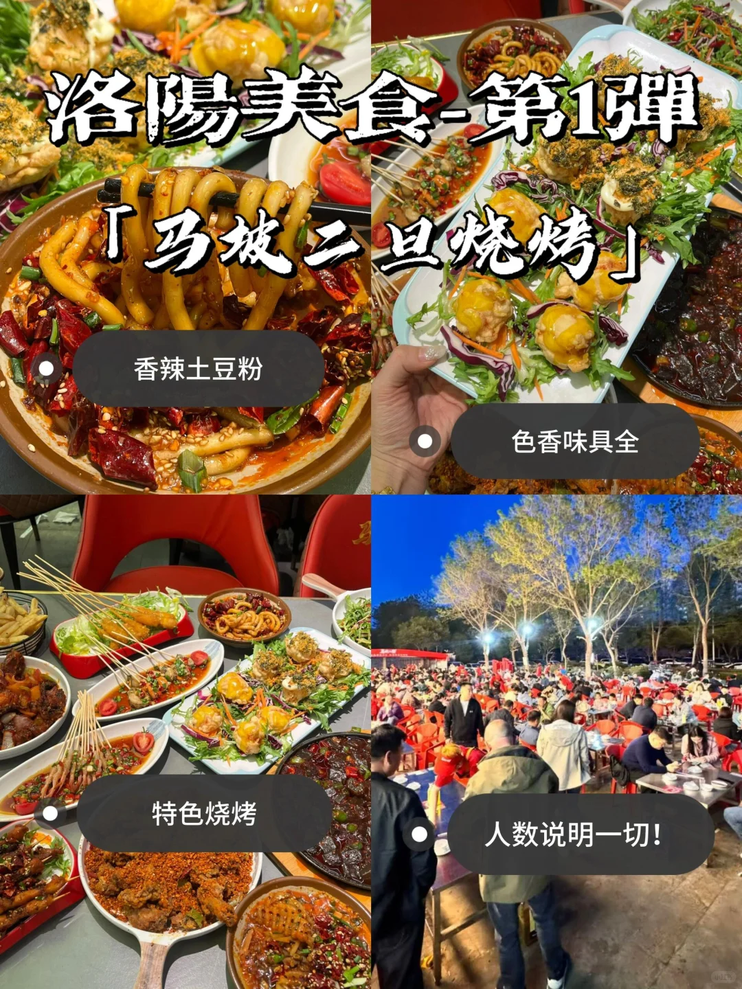 🌟 洛阳必打卡9大景点｜穿越千年古都。