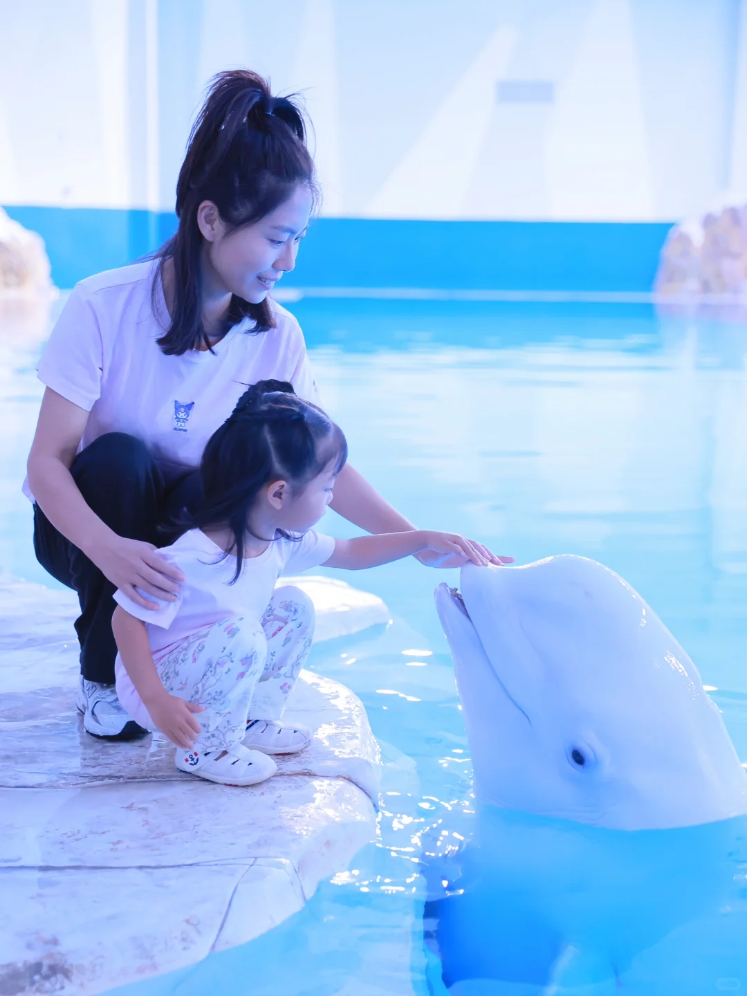 今年暑假，我只带娃去一个地方：陵水！