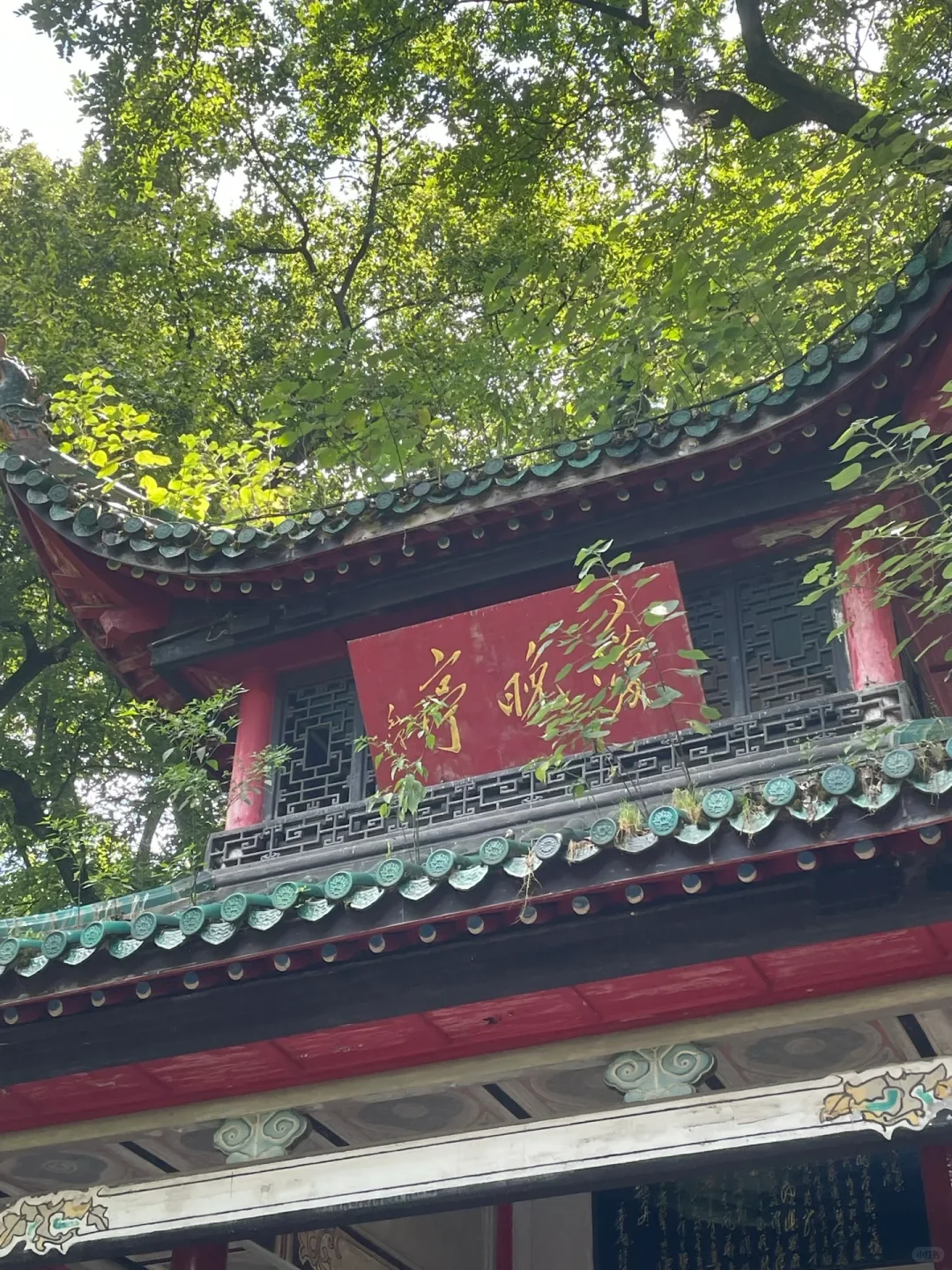 来长沙，我只干一件事