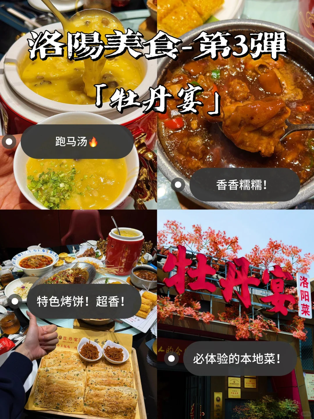 🌟 洛阳必打卡9大景点｜穿越千年古都。