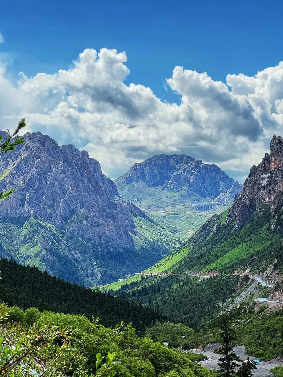 甘南的美在于沿途不经意的风景🚗