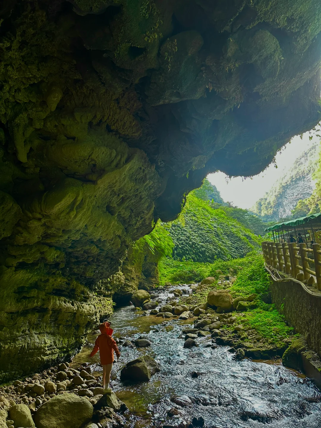 不是国外！中国人自己的侏罗纪原始密林