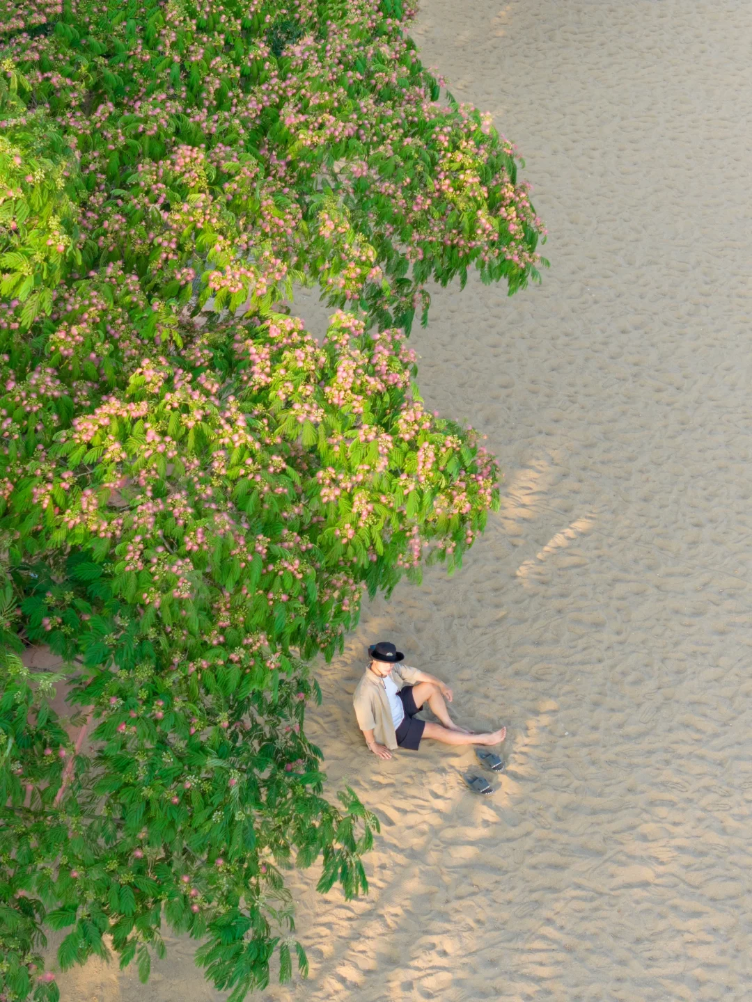 那么近那么美，我的理想lalaland在河北🏖️