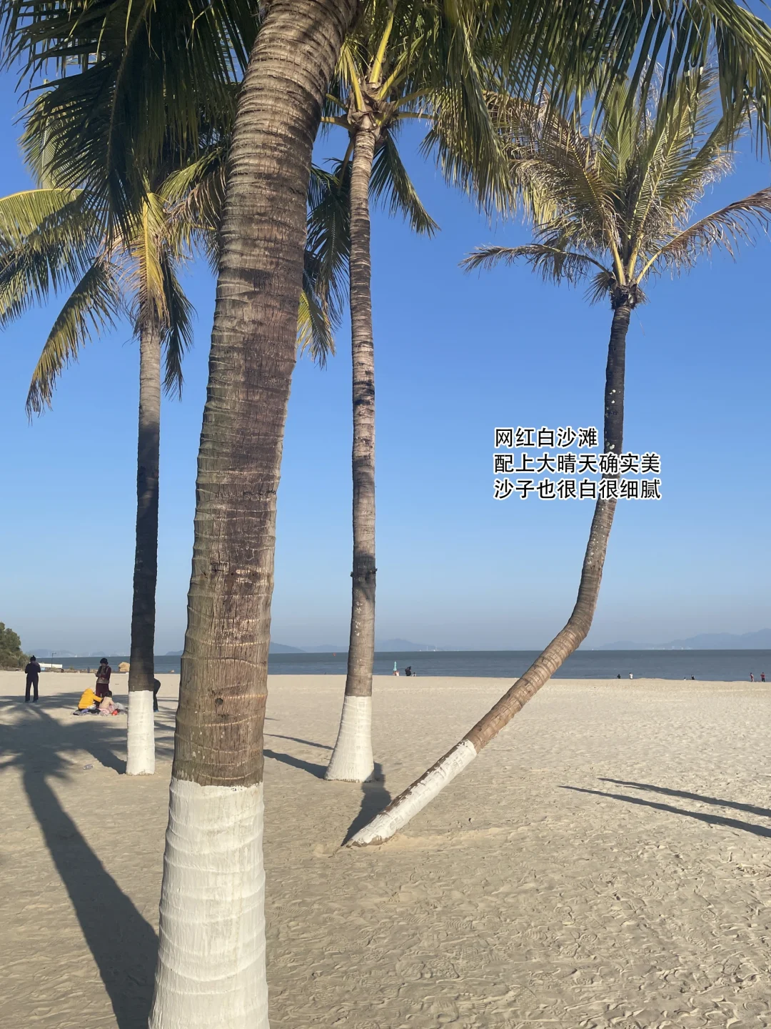 本J人对自己做的珠海旅游攻略甚是满意🤩