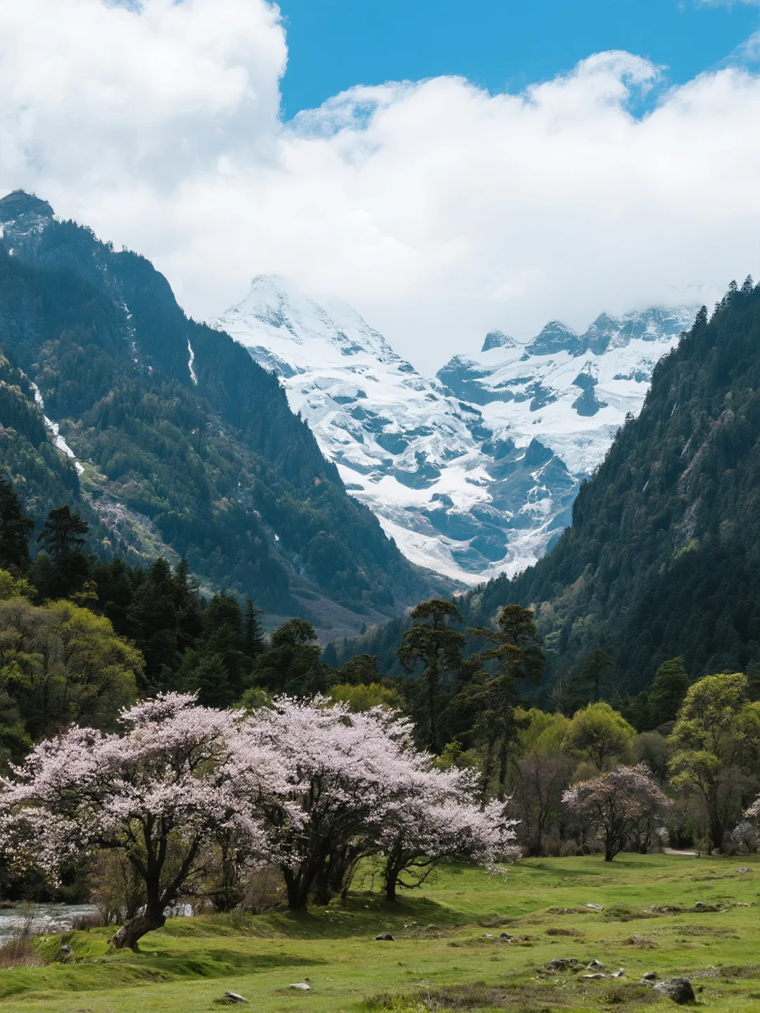 救命！雨崩的四季美到犯规！