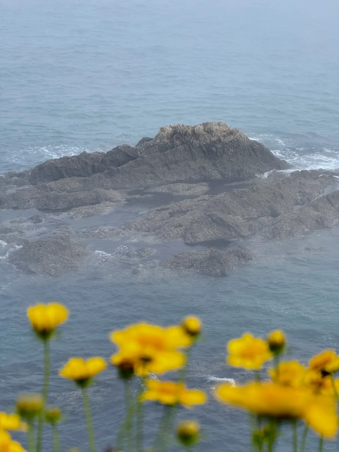 晴雨不定的大连，或许更适合碎片化旅游