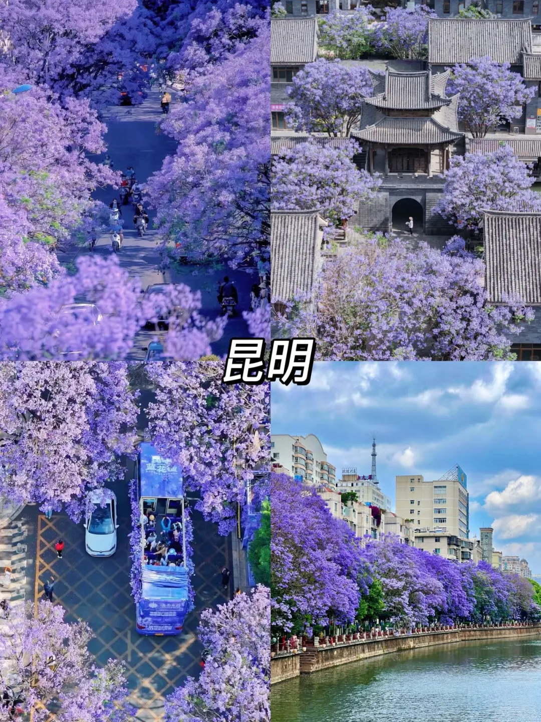 6-8月反向旅游5个避暑胜地推荐✅