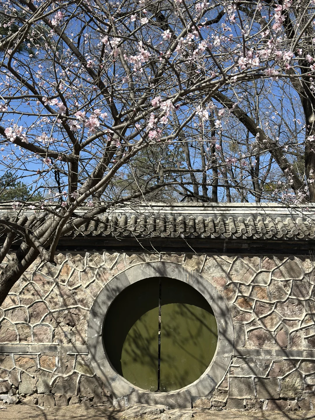 4.5避开人群，淡季来避暑山庄