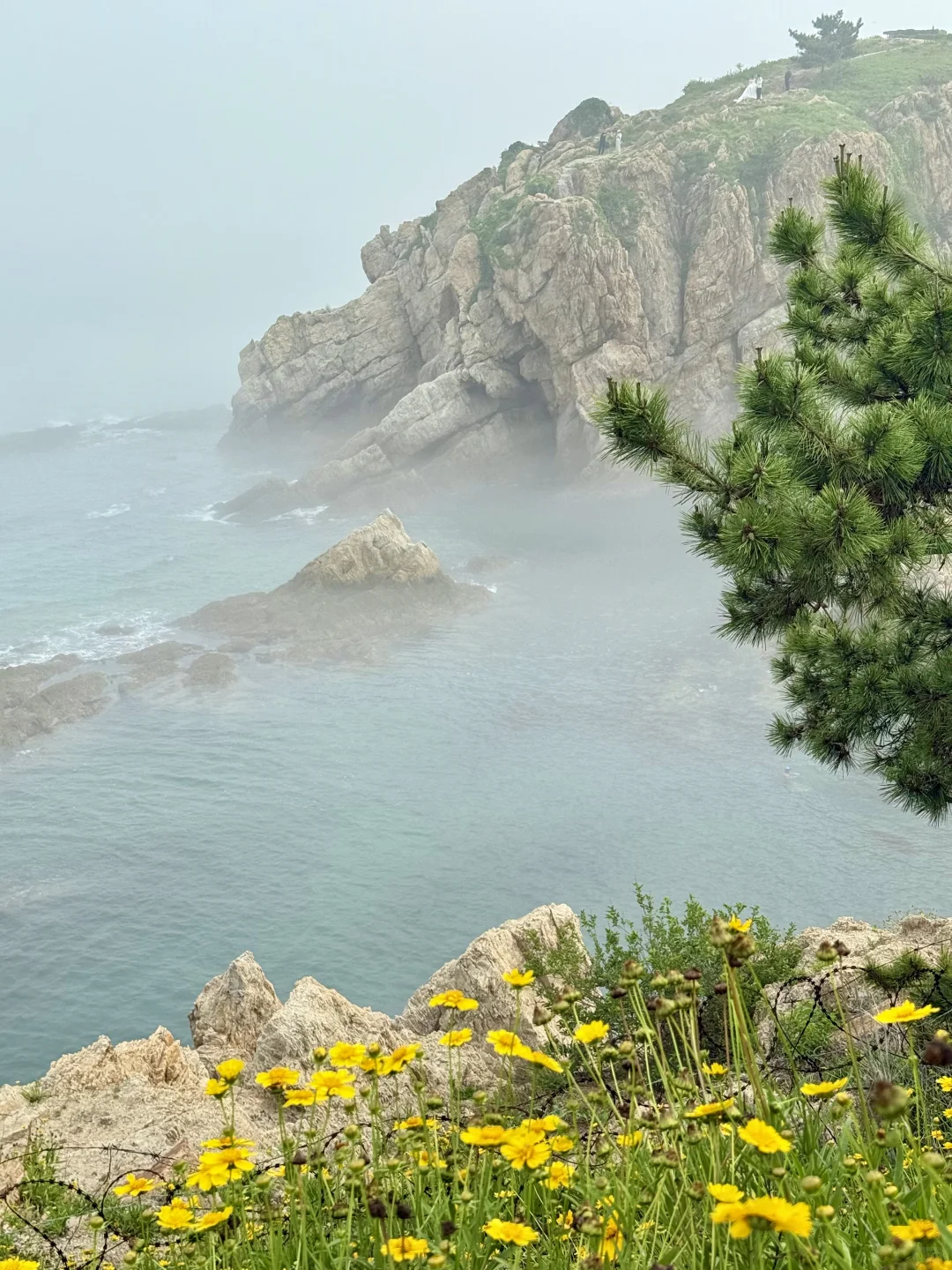 晴雨不定的大连，或许更适合碎片化旅游