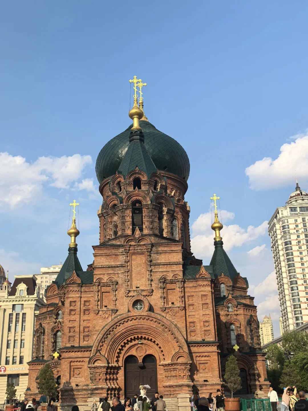 高考结束🔚速来哈尔滨避暑🌞