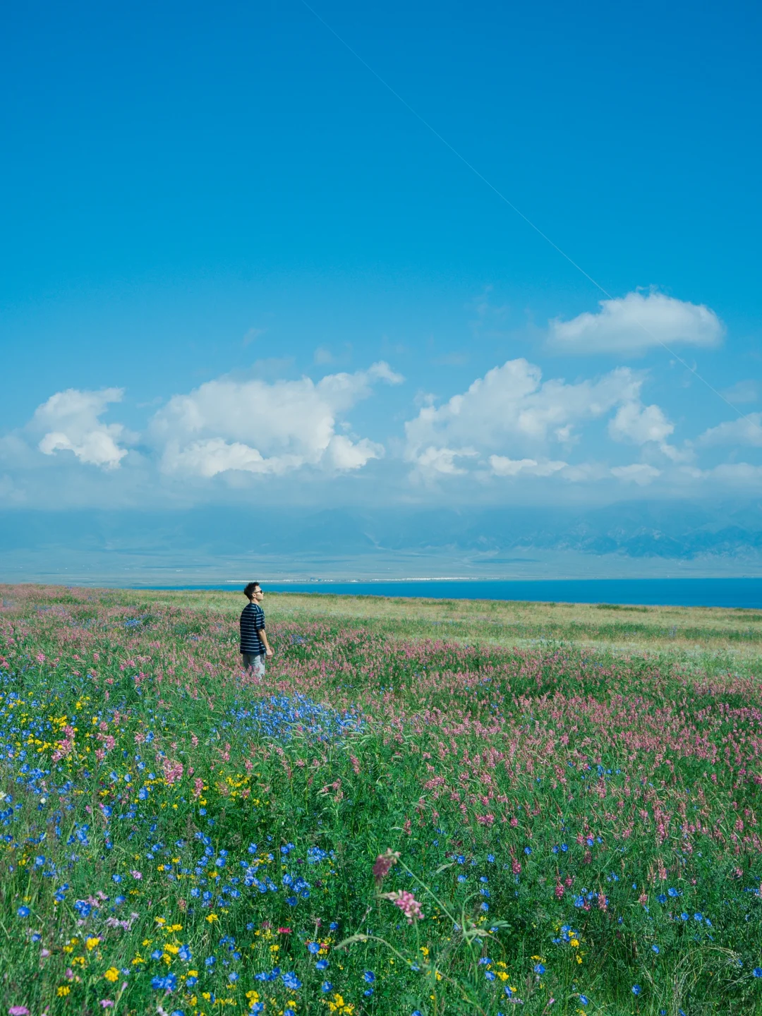 任何人错过夏天🌲的新疆，我都会伤心的
