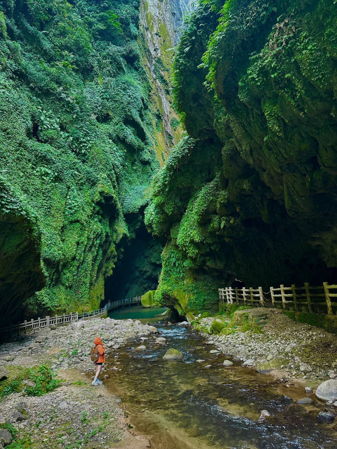 不是国外！中国人自己的侏罗纪原始密林