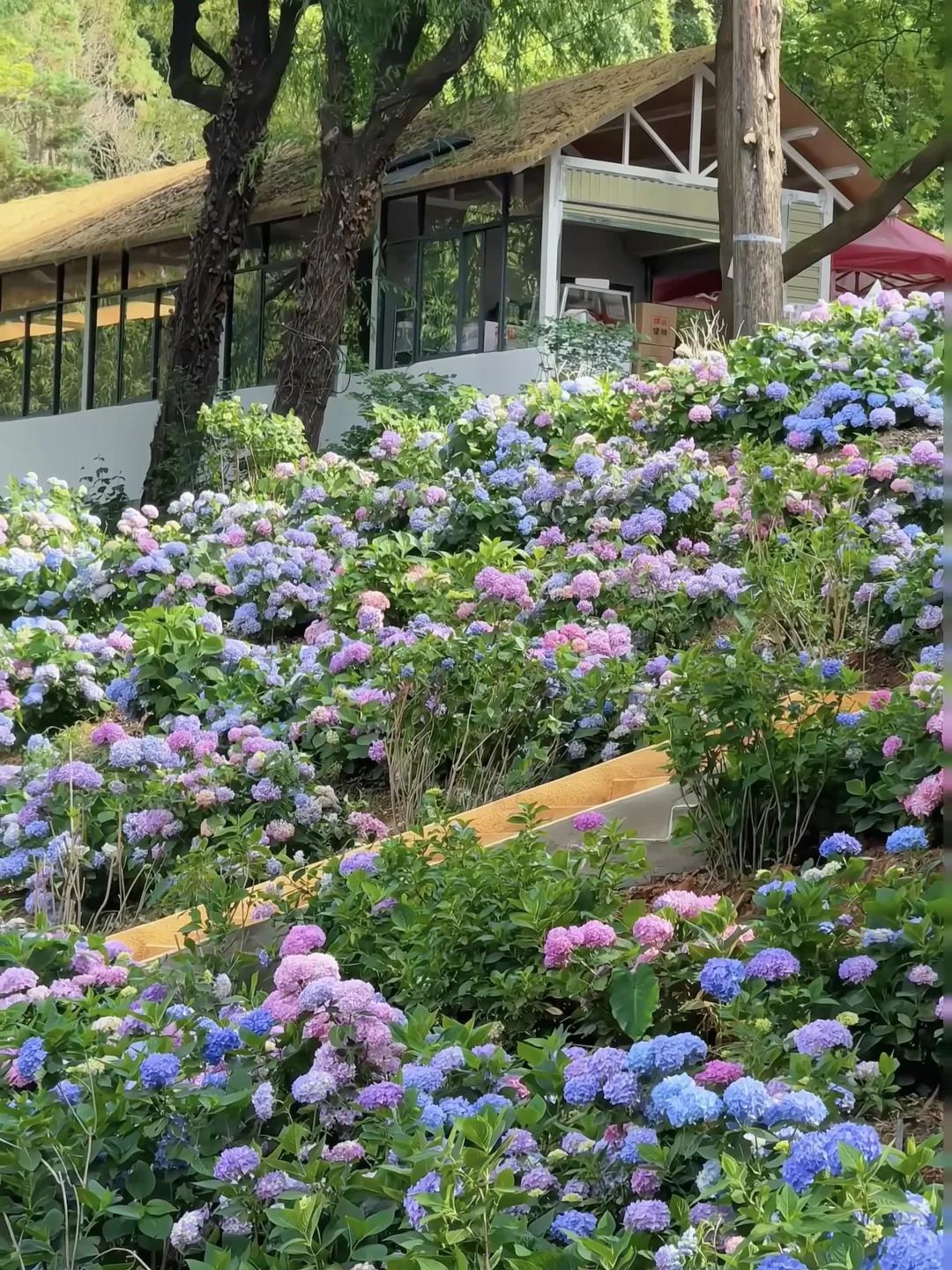 昆明…果然最牛逼的地方都是免费的！（合集）