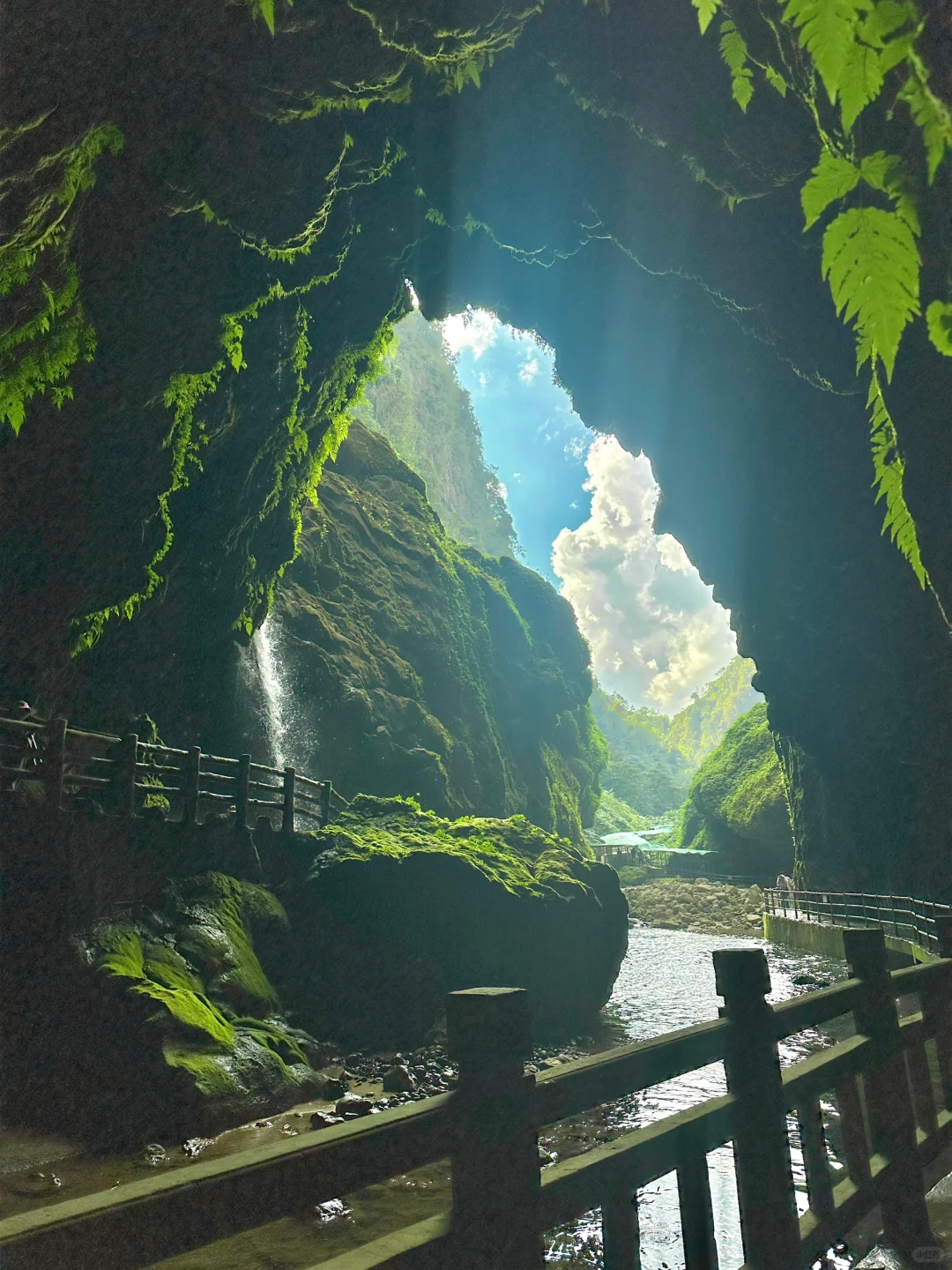 不是国外！中国人自己的侏罗纪原始密林