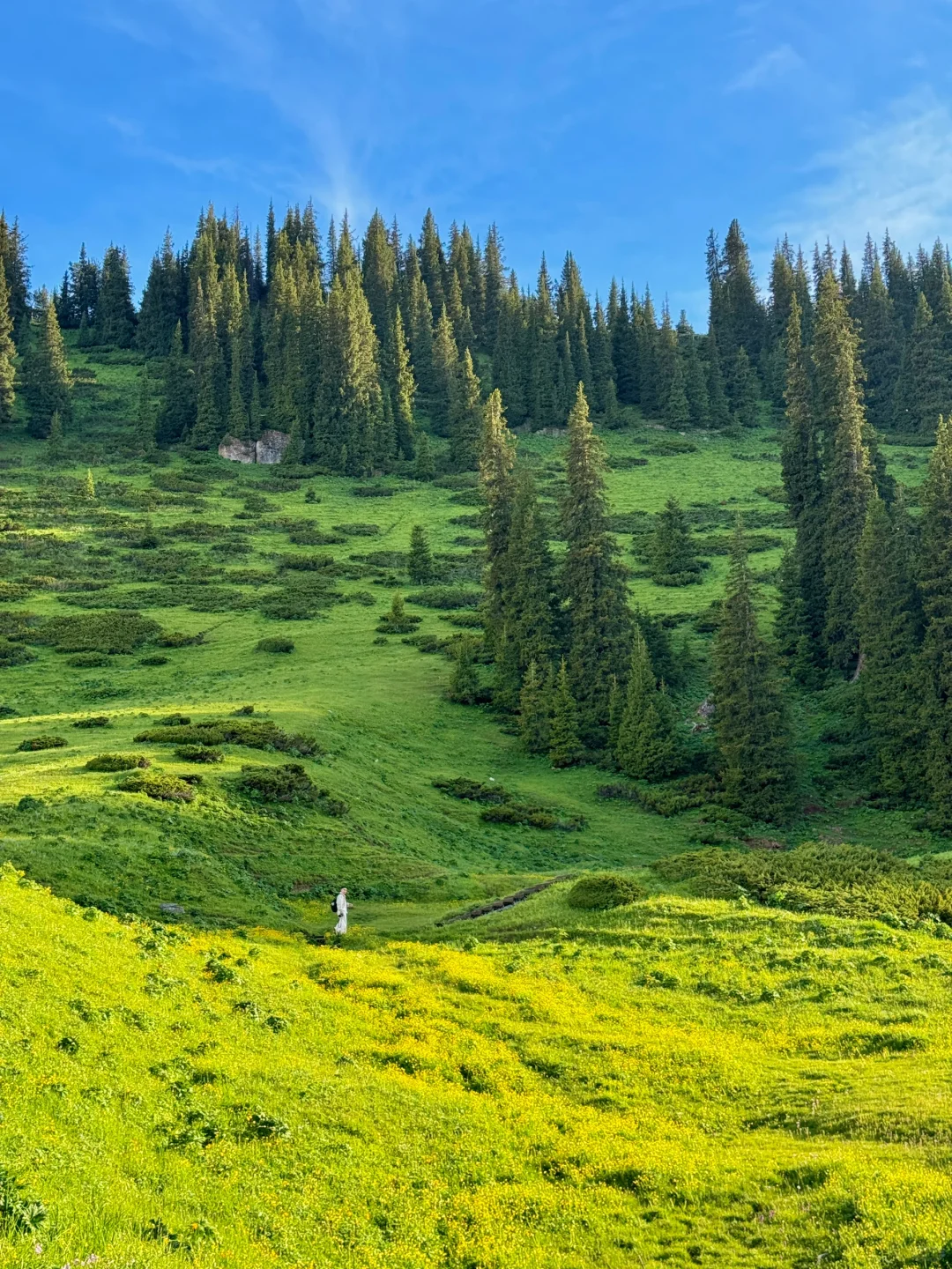 真不输瑞士😭😭初夏的赛里木湖美翻了‼️