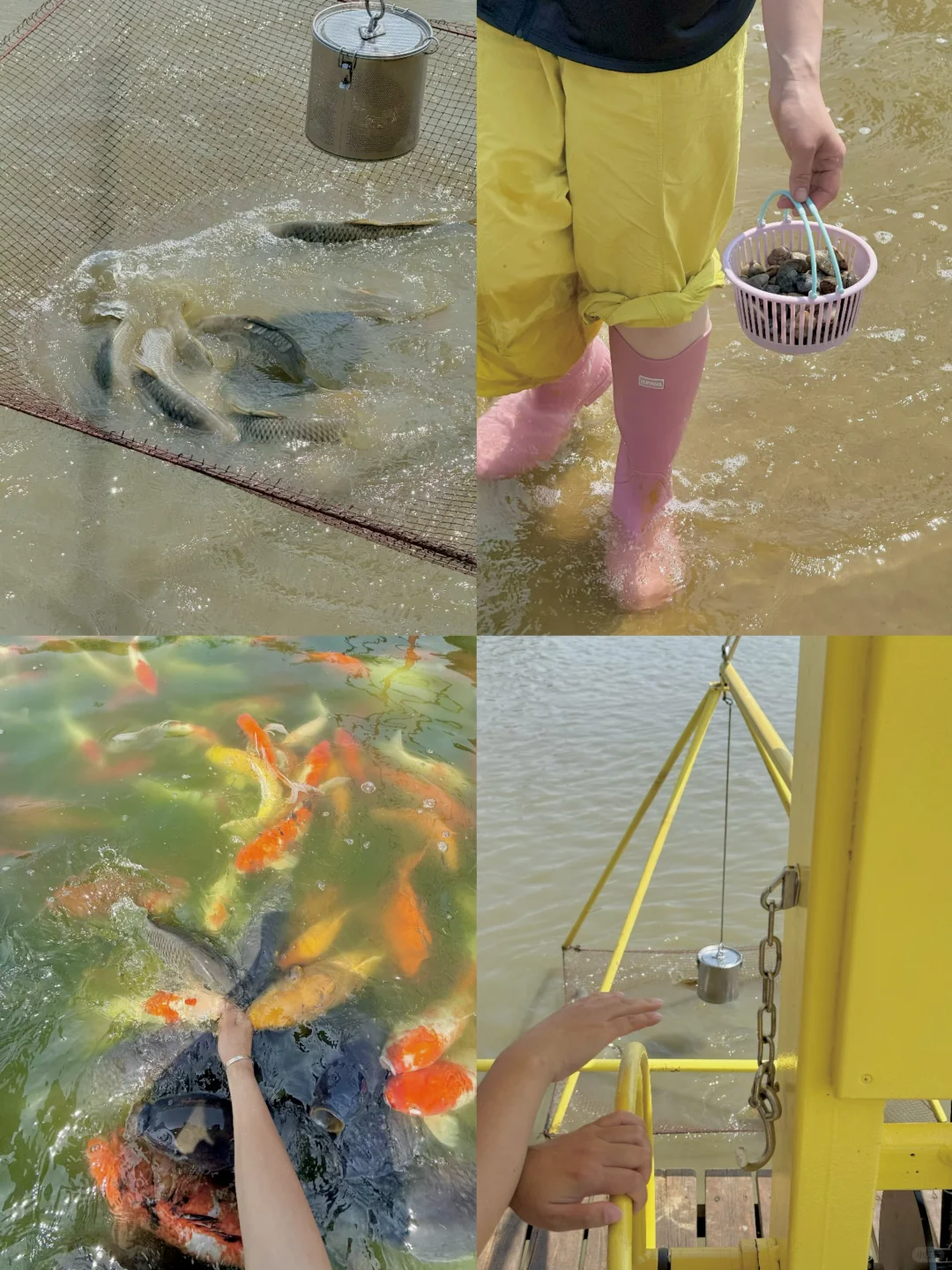 那么近那么美，我的理想lalaland在河北🏖️