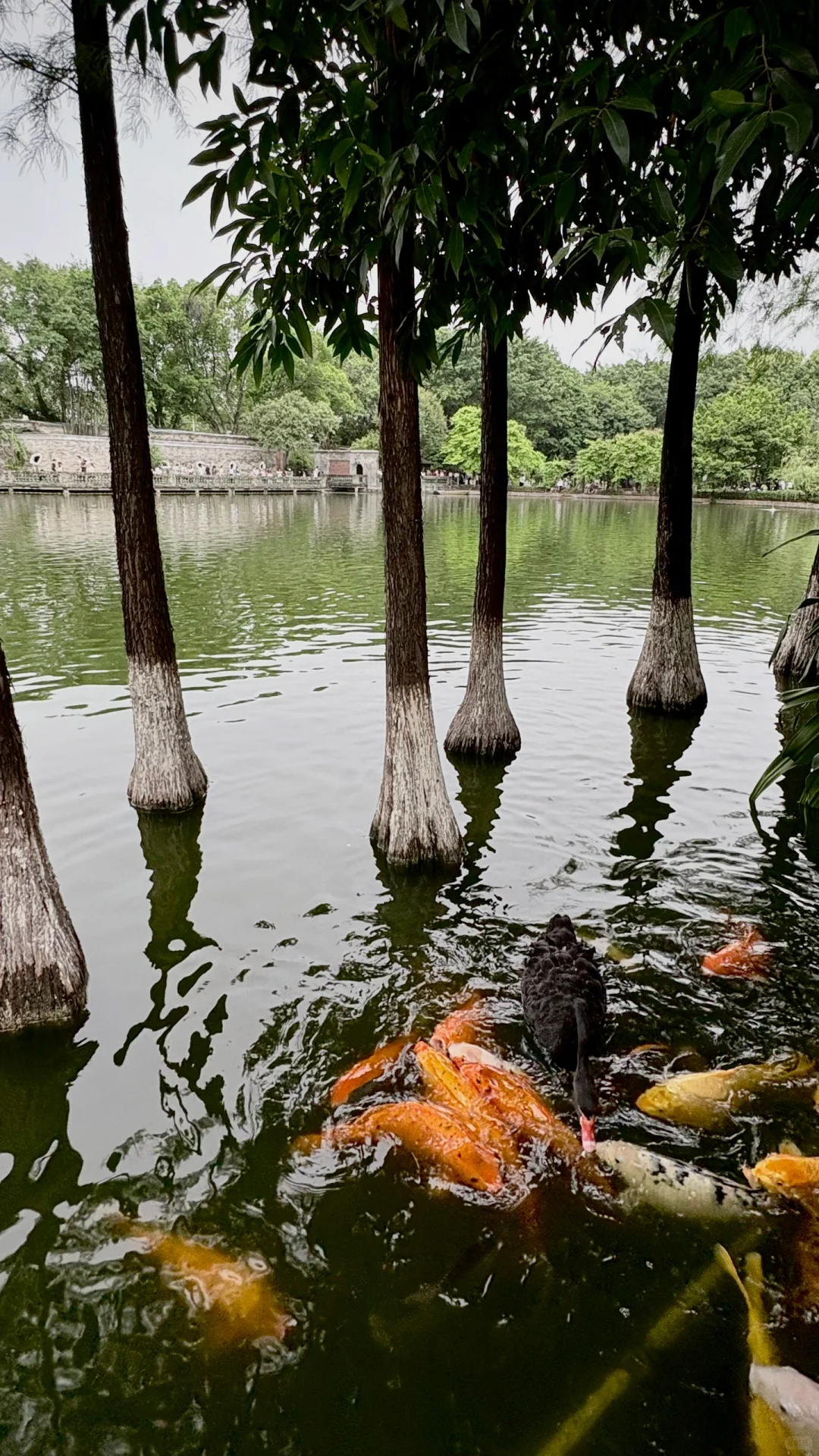 东莞2日游完攻略‼️ 吃喝玩全记录🍜