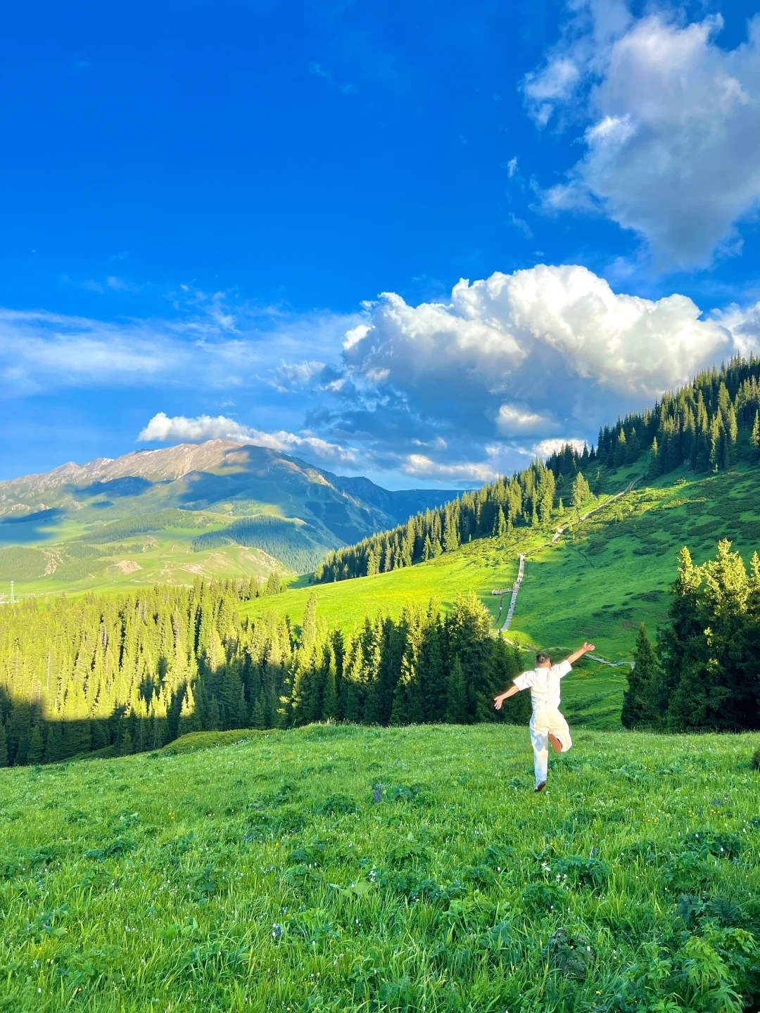 真不输瑞士😭😭初夏的赛里木湖美翻了‼️