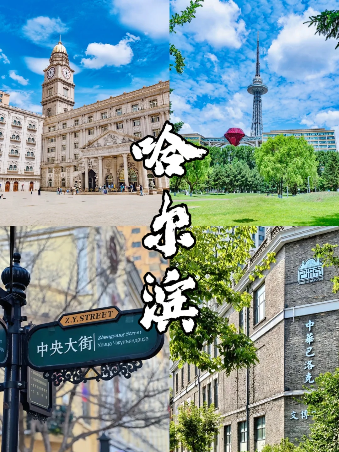 高考结束🔚速来哈尔滨避暑🌞