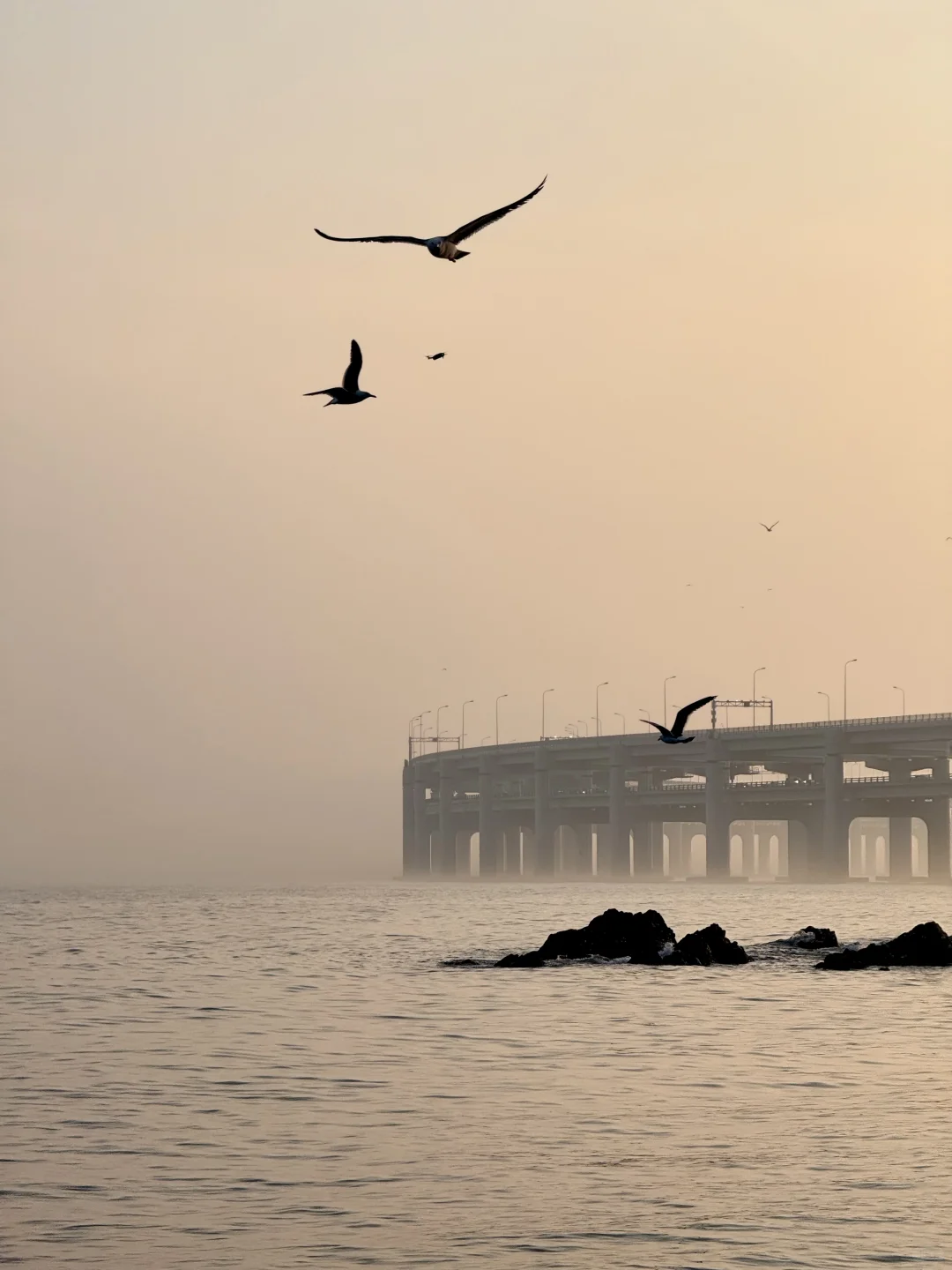 晴雨不定的大连，或许更适合碎片化旅游