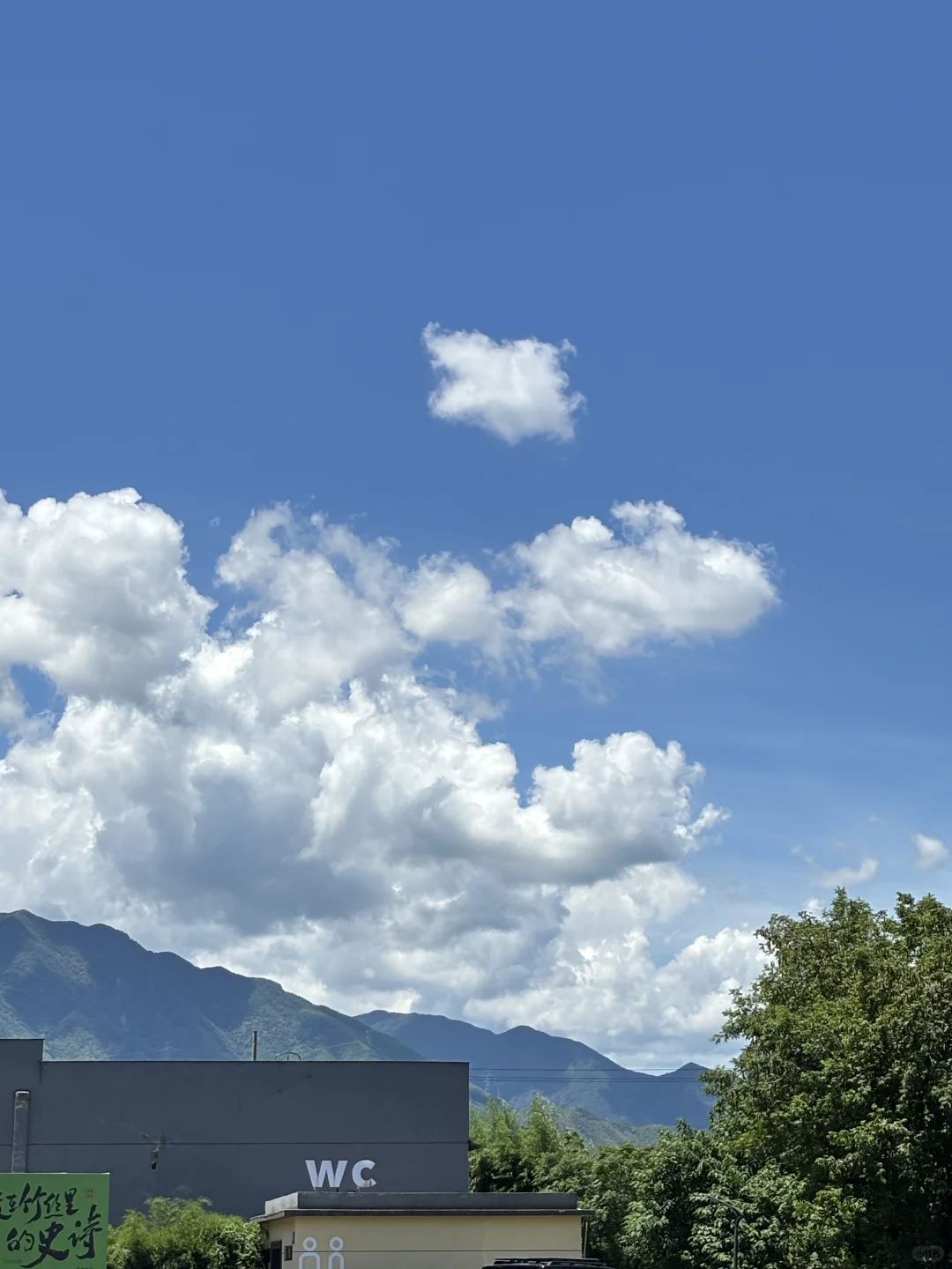 安吉美死啦！！