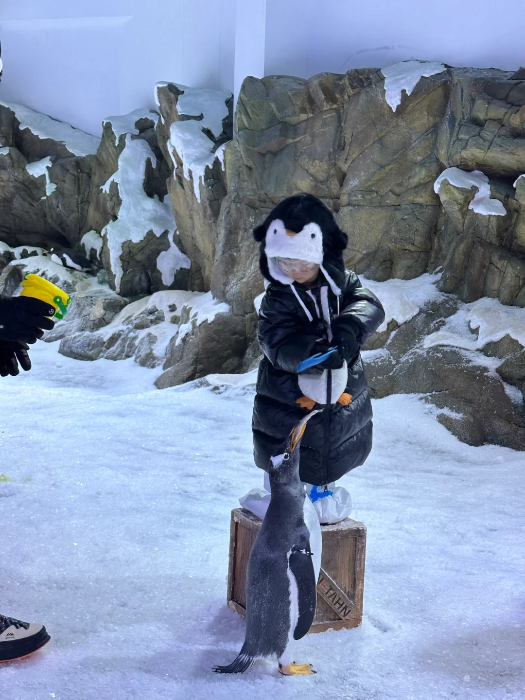 今年暑假，我只带娃去一个地方：陵水！