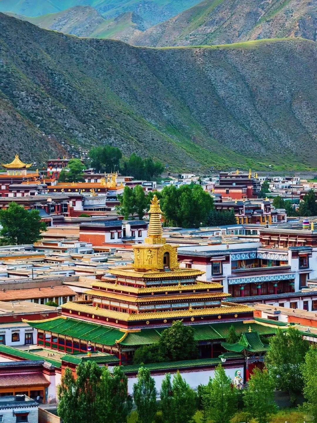 甘南的美在于沿途不经意的风景🚗