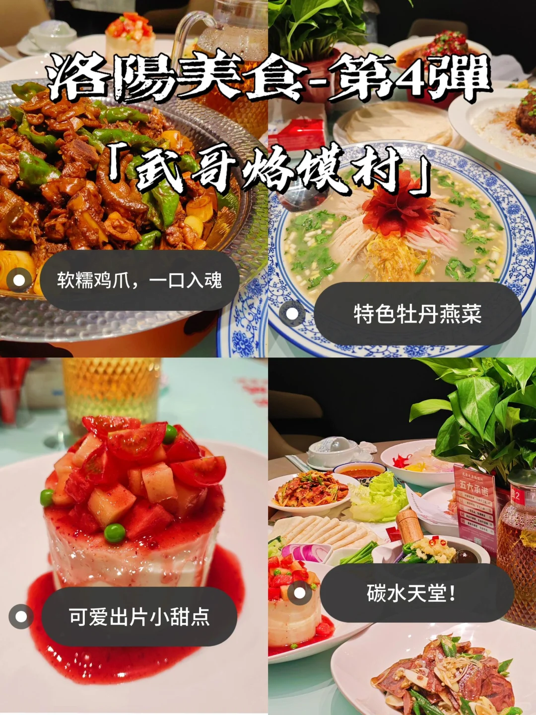 🌟 洛阳必打卡9大景点｜穿越千年古都。