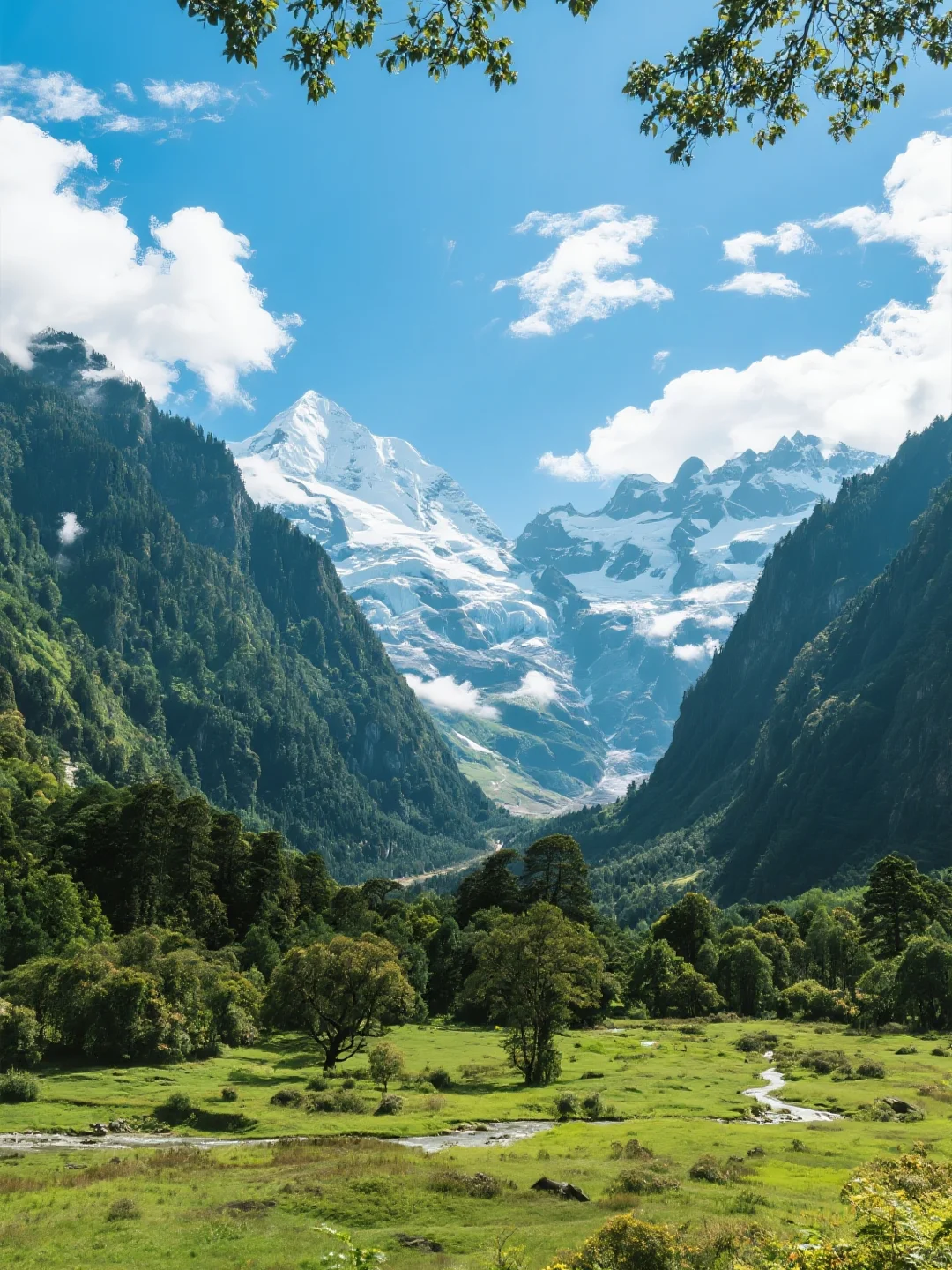 救命！雨崩的四季美到犯规！
