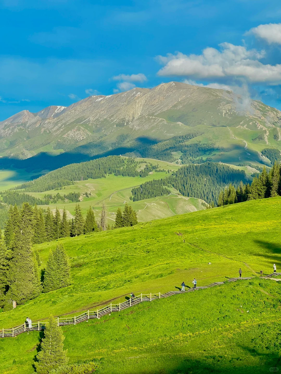 真不输瑞士😭😭初夏的赛里木湖美翻了‼️
