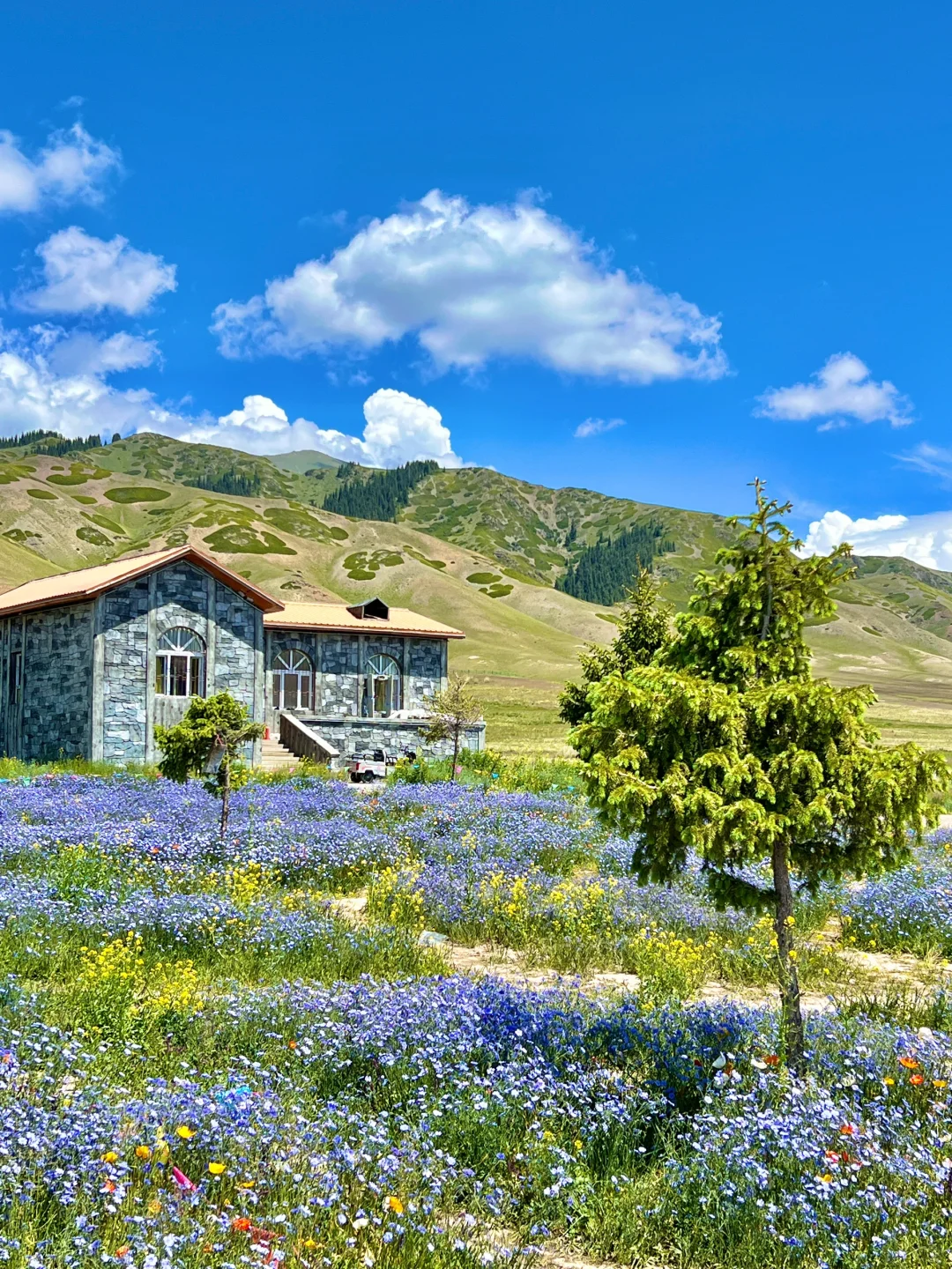真不输瑞士😭😭初夏的赛里木湖美翻了‼️