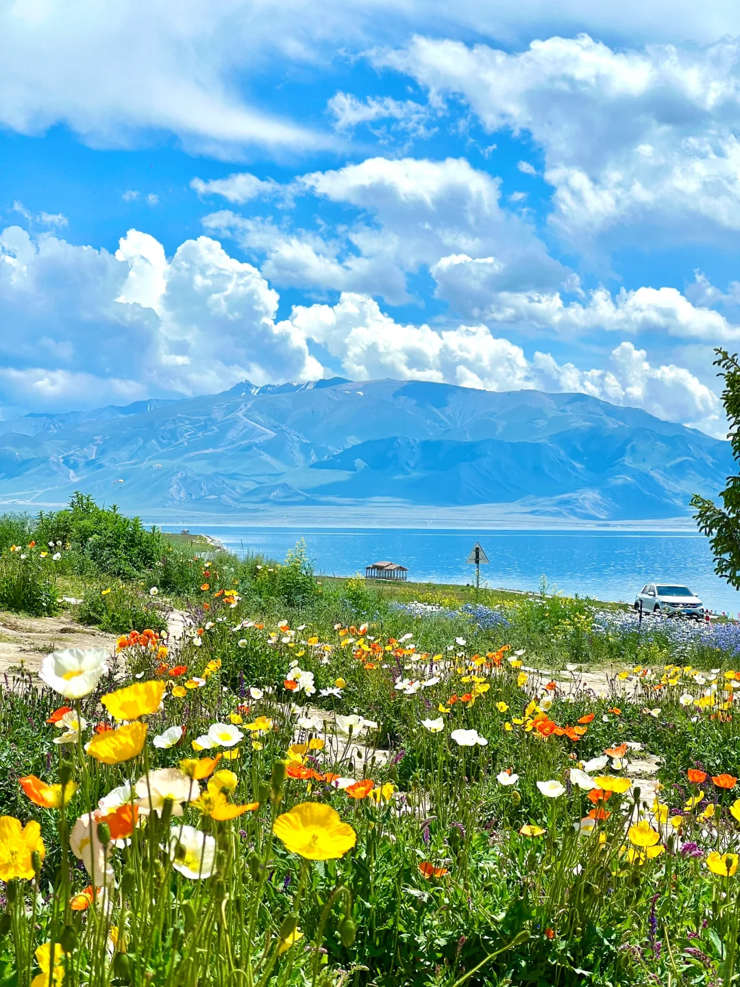 真不输瑞士😭😭初夏的赛里木湖美翻了‼️