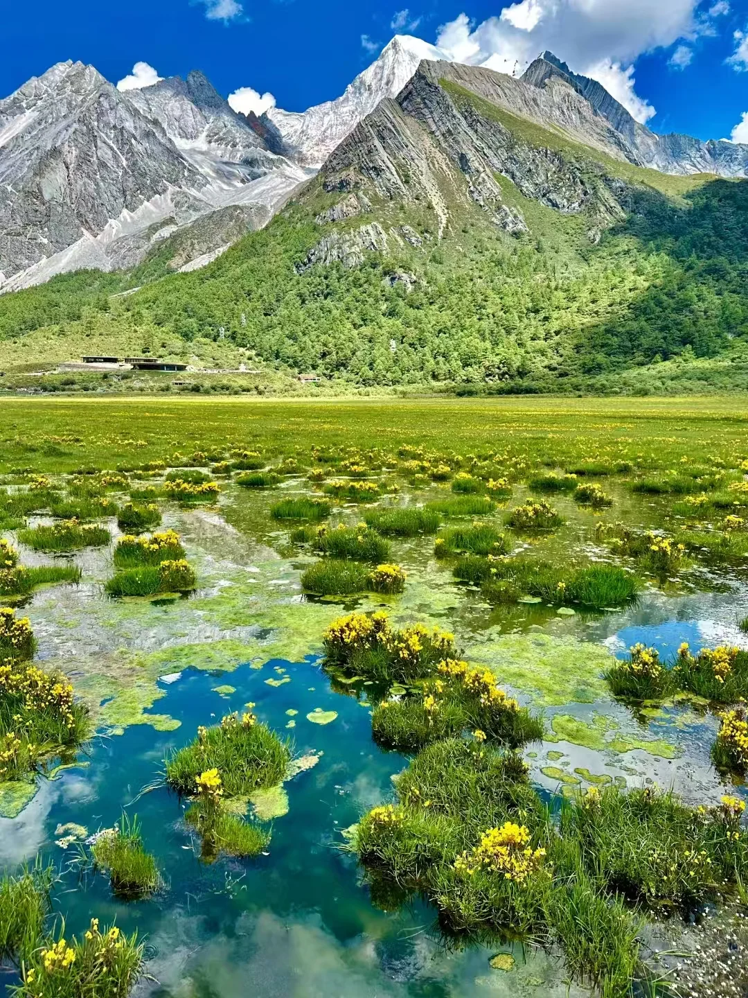 这个夏天，和最爱的人来一次稻城吧