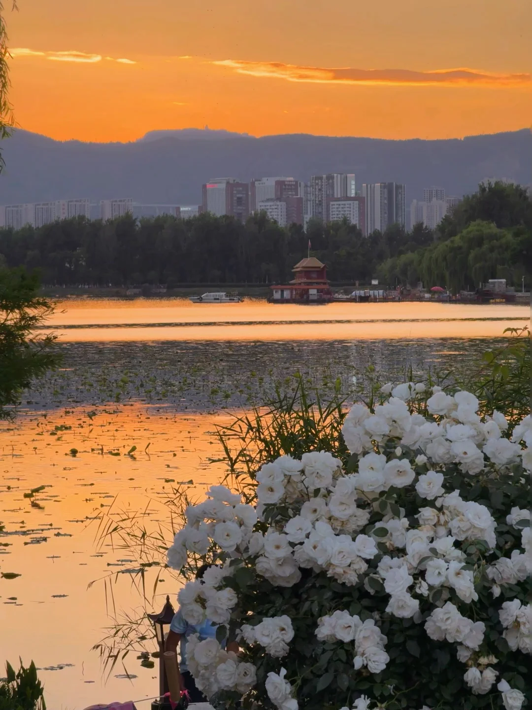 昆明…果然最牛逼的地方都是免费的！（合集）