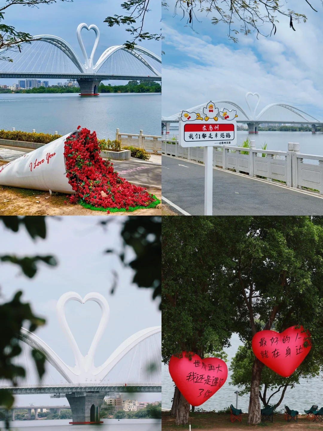 为了这9️⃣张图｜我特地飞了一趟惠州‼️